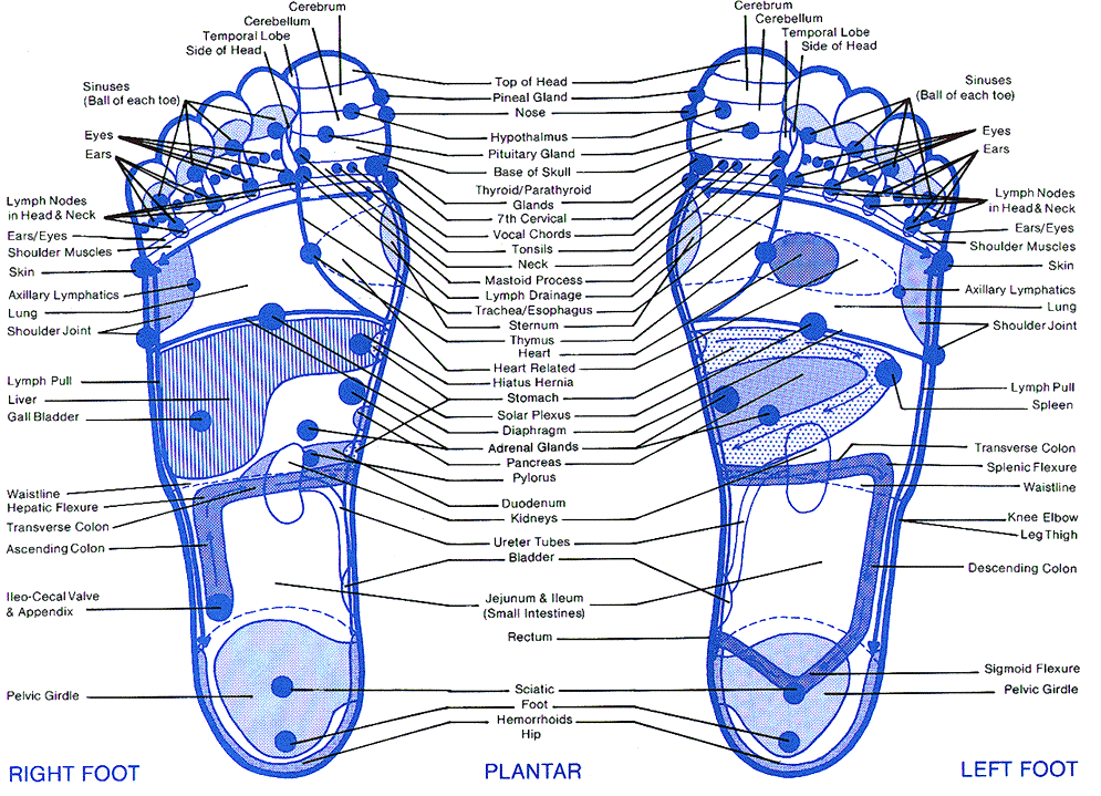 Top Of Foot Reflex Chart